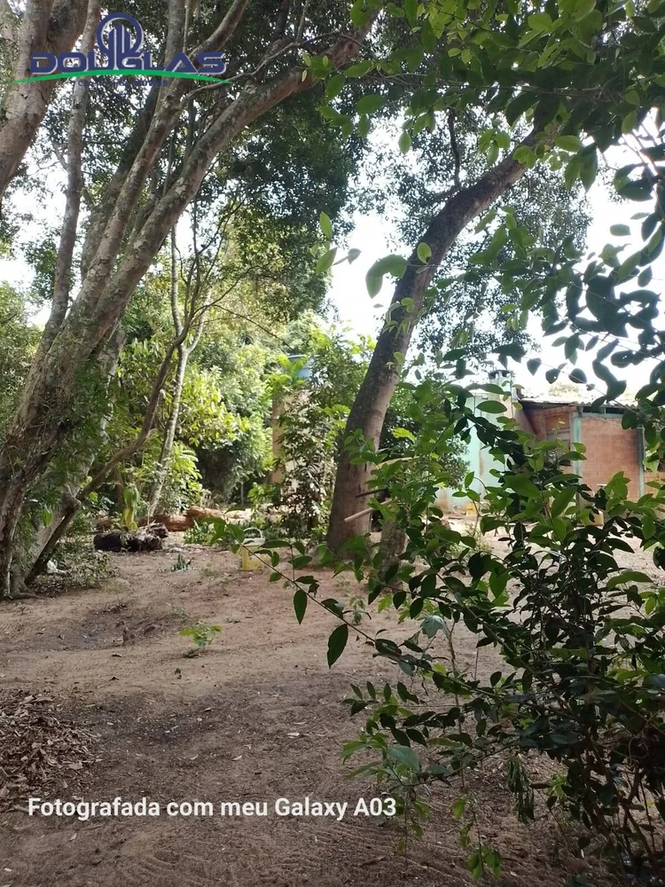 Chácara, 2 quartos, 1800 m² - Foto 2
