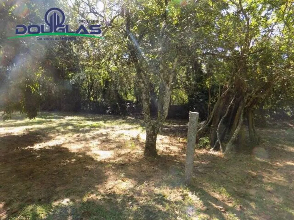 Terreno, 1250 m² - Foto 5