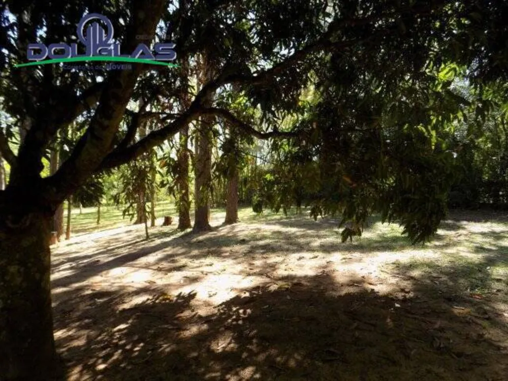Terreno, 1250 m² - Foto 7