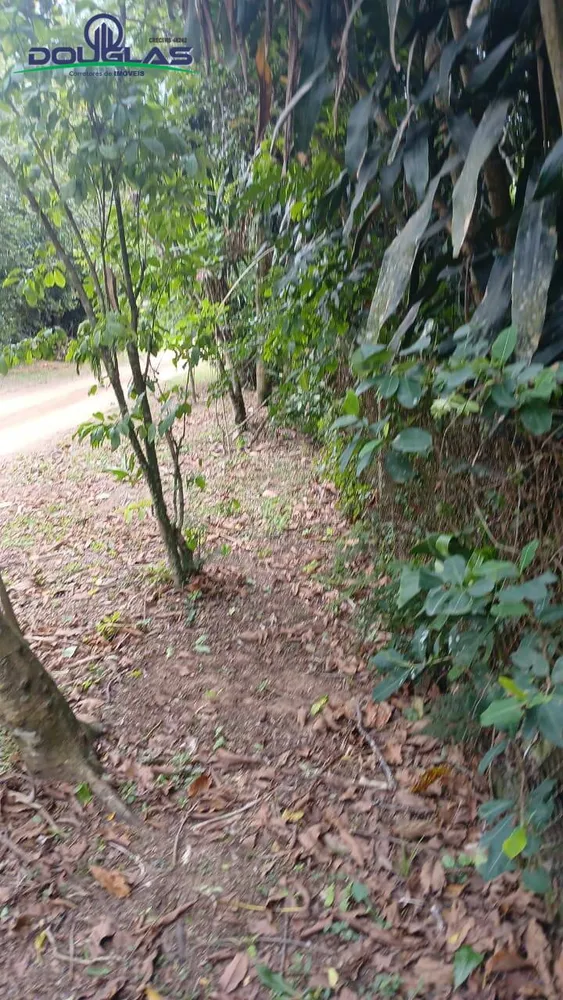Terreno, 2400 m² - Foto 7