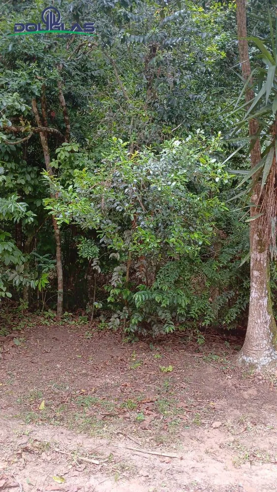 Terreno, 2400 m² - Foto 8
