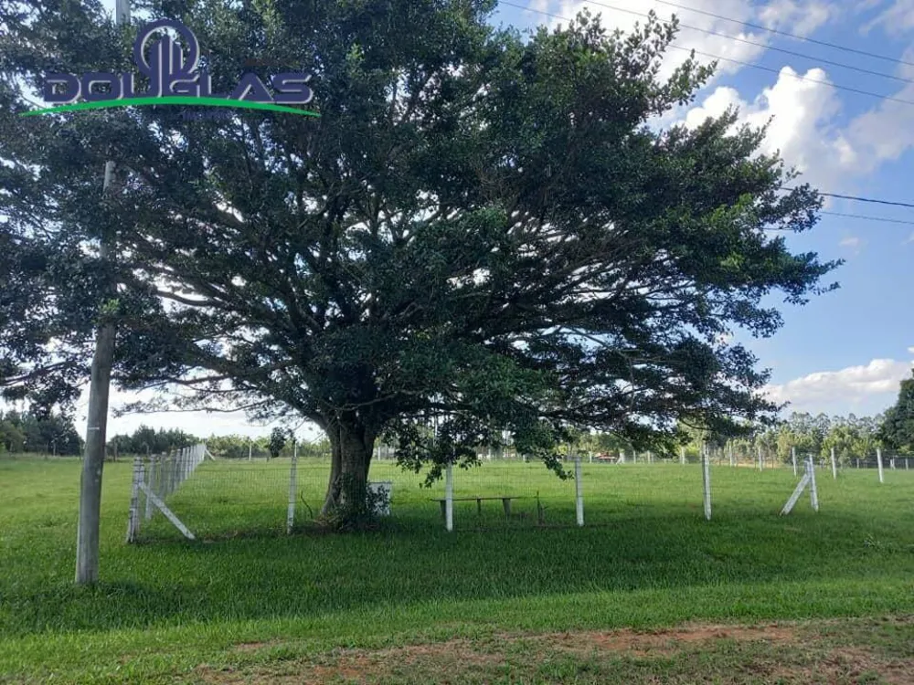 Terreno - Foto 4