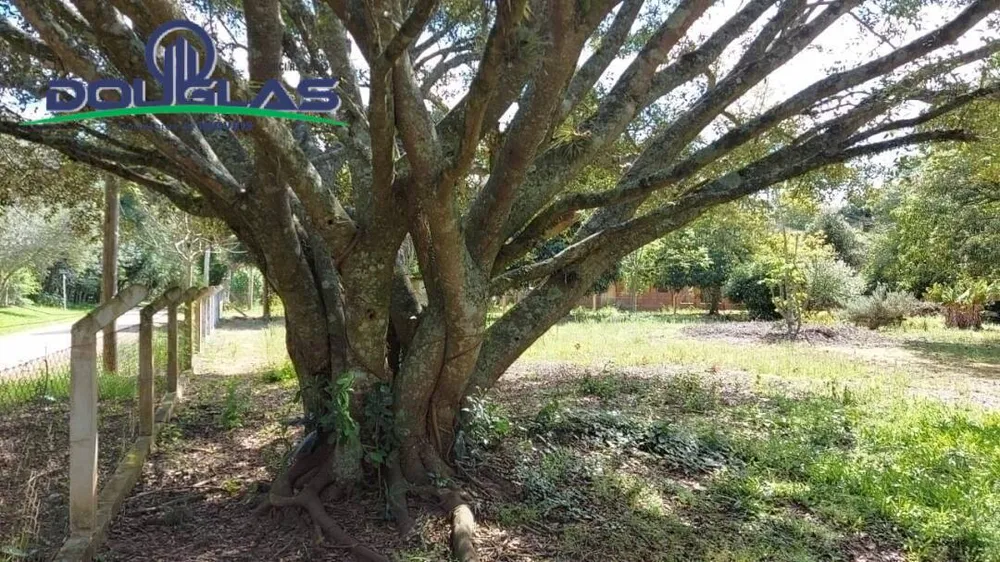 Terreno - Foto 6