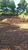 Terreno, 920 m² - Foto 4