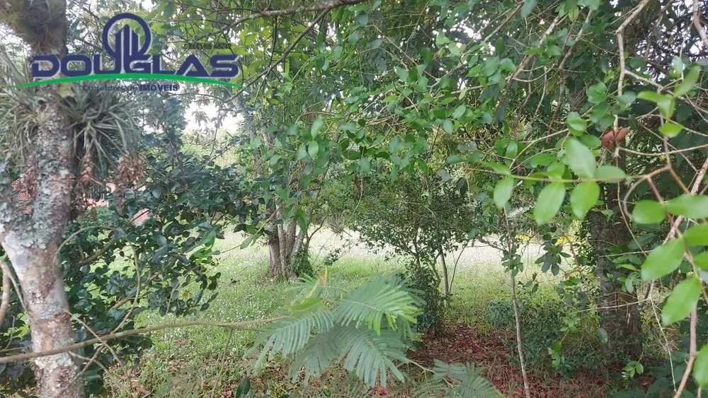 Terreno, 1000 m² - Foto 4