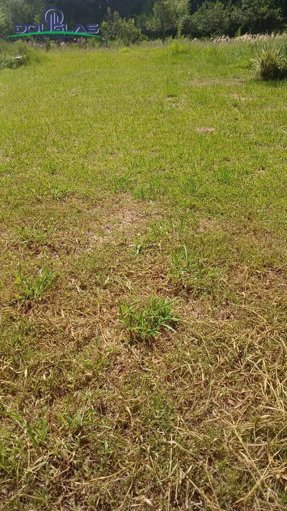 Terreno, 2200 m² - Foto 4