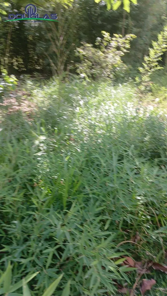 Terreno, 2200 m² - Foto 3