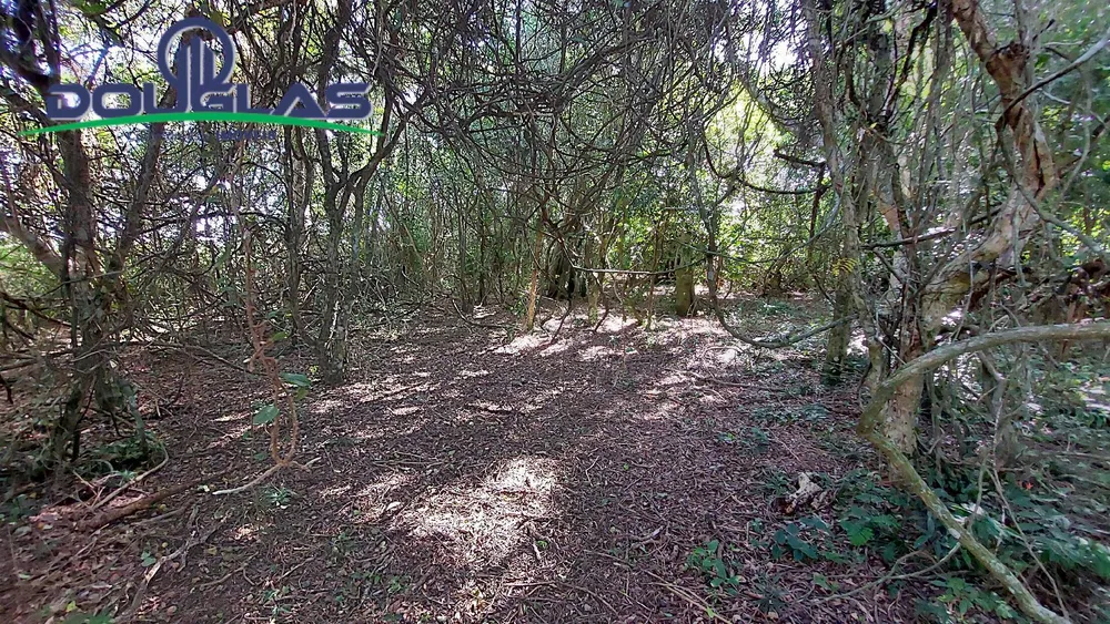 Sítio, 2 quartos, 2 hectares - Foto 10