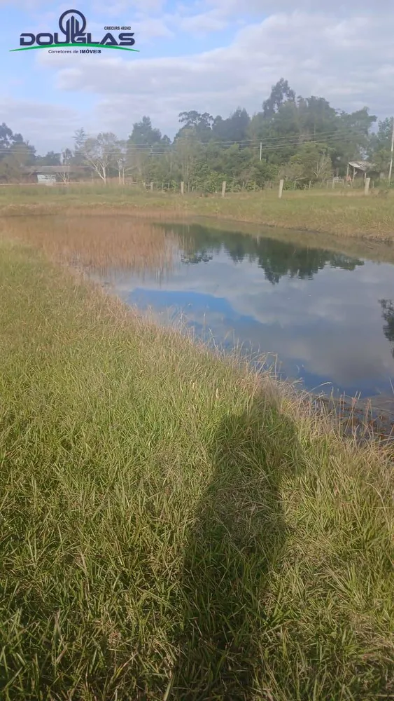 Terreno, 4500 m² - Foto 9
