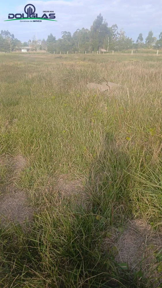 Terreno, 4500 m² - Foto 10