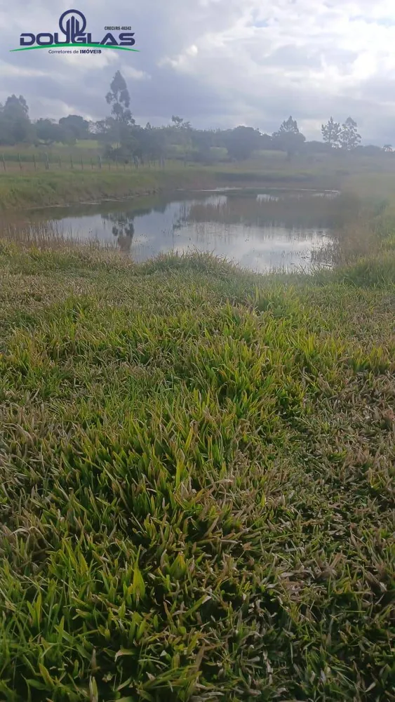 Terreno, 4500 m² - Foto 6