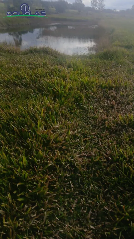 Terreno, 4500 m² - Foto 7
