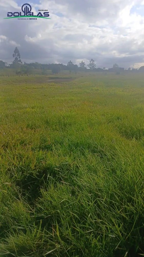 Terreno, 4500 m² - Foto 1