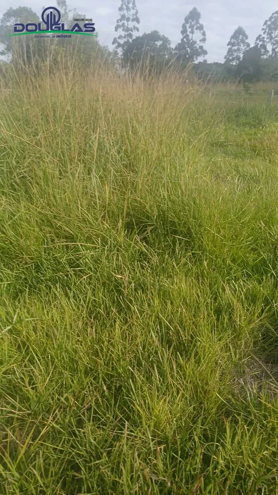 Terreno, 4500 m² - Foto 5