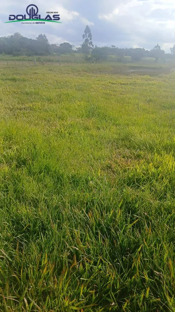 Terreno, 4500 m² - Foto 4