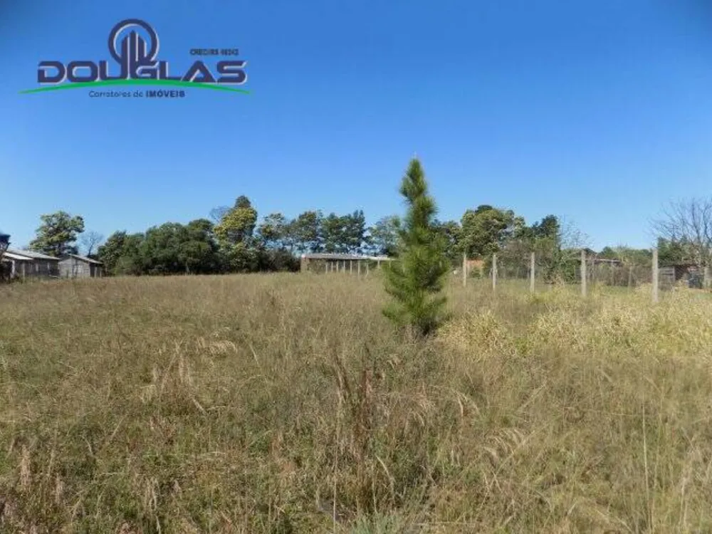 Terreno, 1200 m² - Foto 4