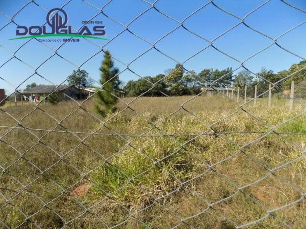 Terreno, 1200 m² - Foto 6