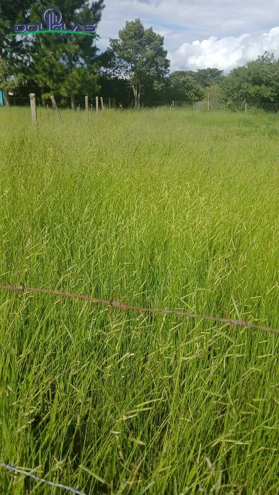 Terreno, 360 m² - Foto 2