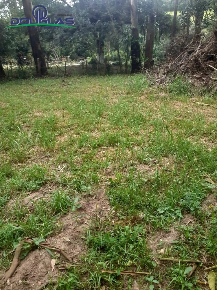 Terreno - Foto 3
