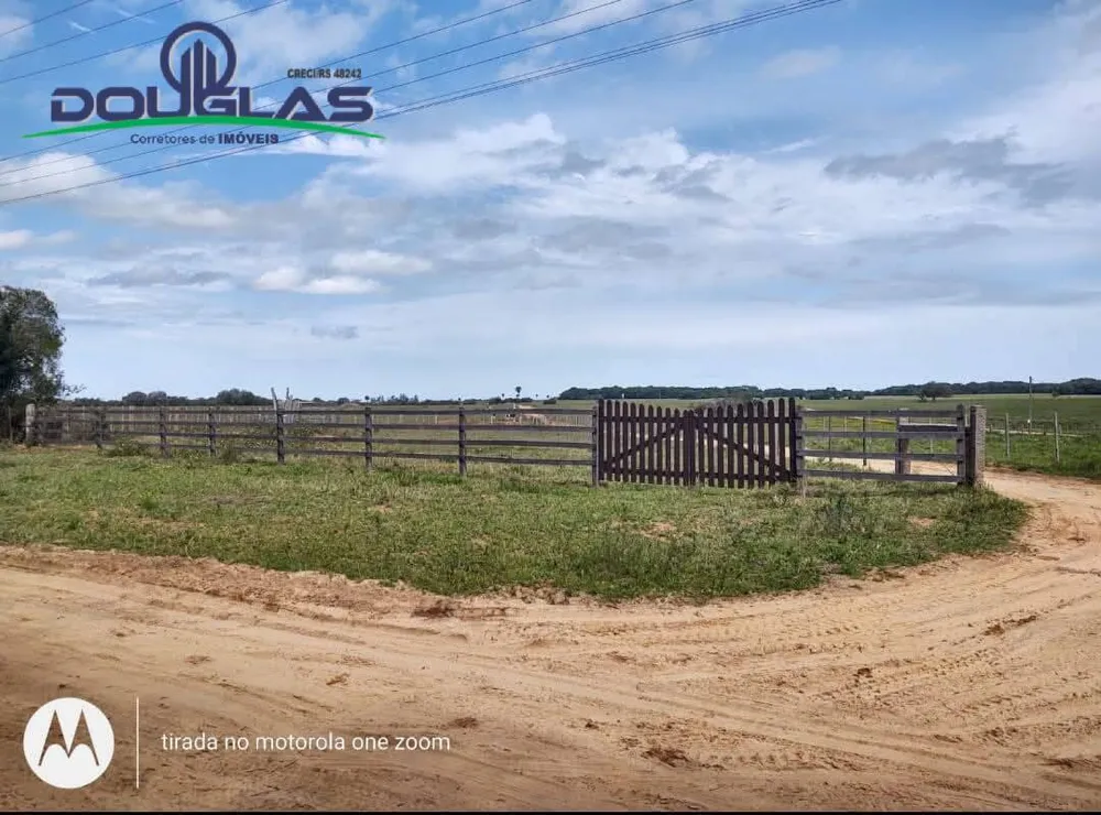 Terreno, 4 hectares - Foto 1