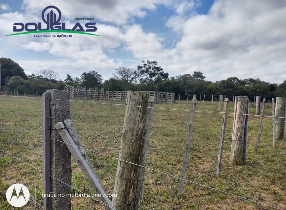 Terreno, 4 hectares - Foto 8