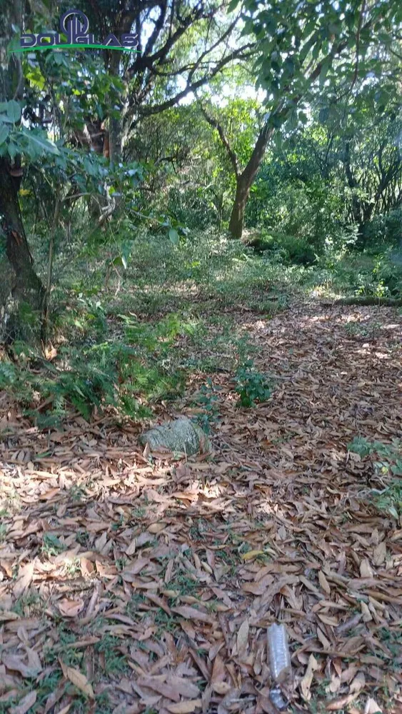 Terreno - Foto 7