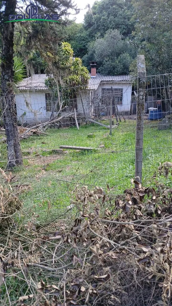 Terreno - Foto 3