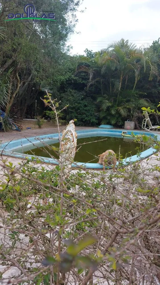 Terreno - Foto 5