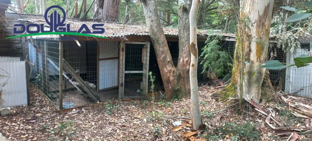 Terreno, 2000 m² - Foto 6