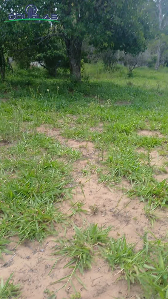 Terreno, 2000 m² - Foto 11