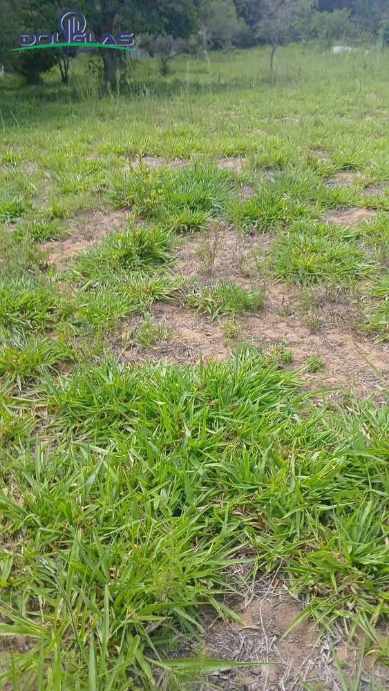 Terreno, 2000 m² - Foto 10