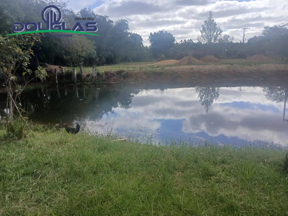Terreno - Foto 6