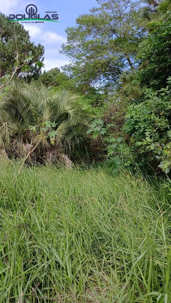 Terreno, 550 m² - Foto 5