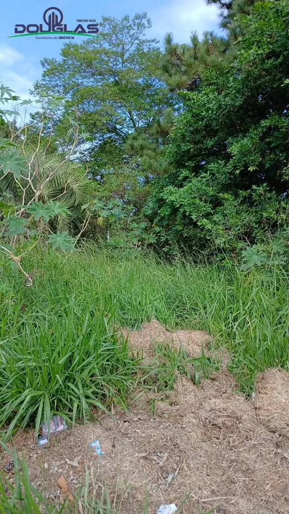 Terreno, 550 m² - Foto 4