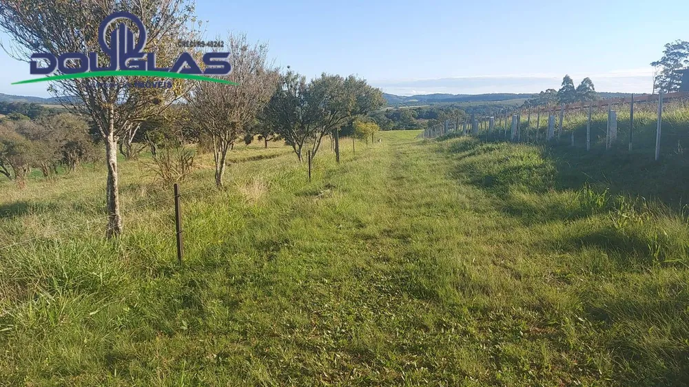 Terreno, 32 m² - Foto 4