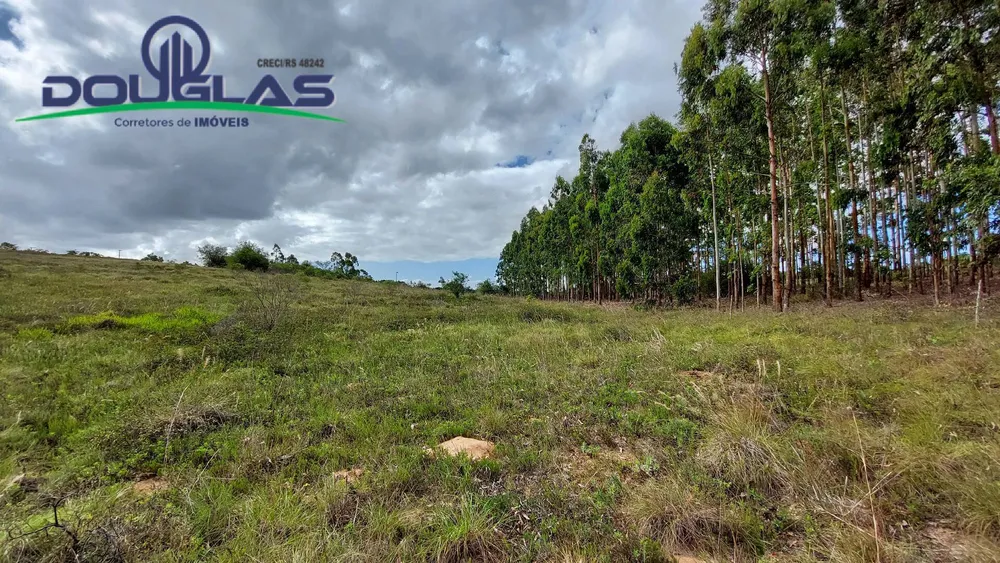Terreno, 4 hectares - Foto 4