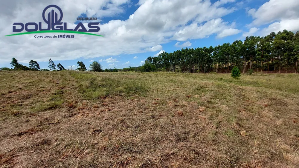 Terreno, 4 hectares - Foto 6