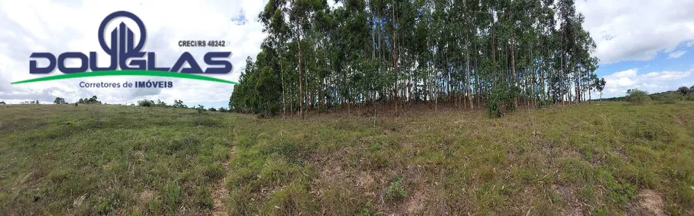 Terreno, 4 hectares - Foto 2