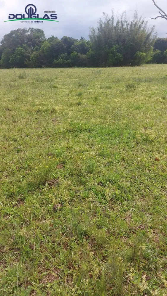 Terreno, 3 m² - Foto 5