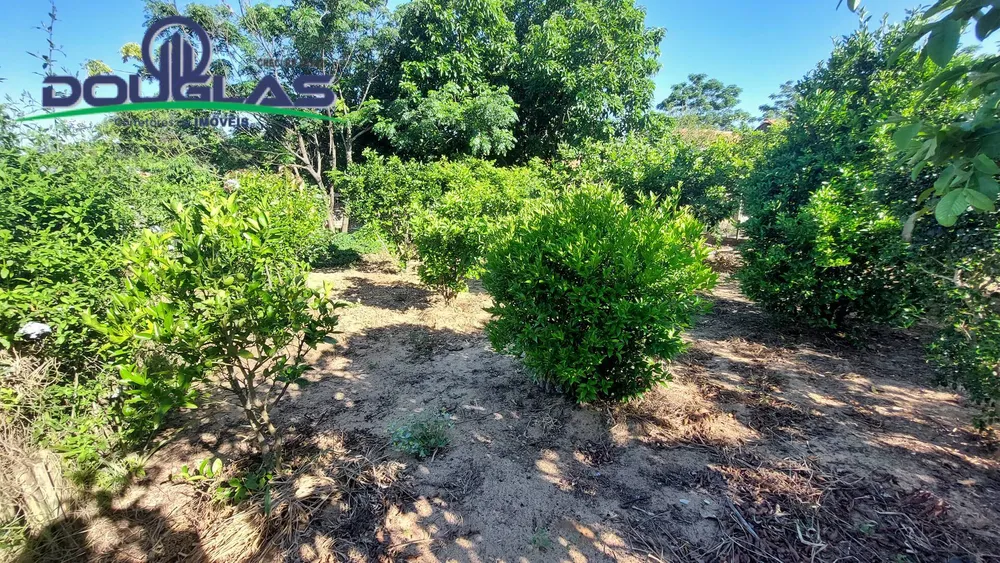 Terreno - Foto 1