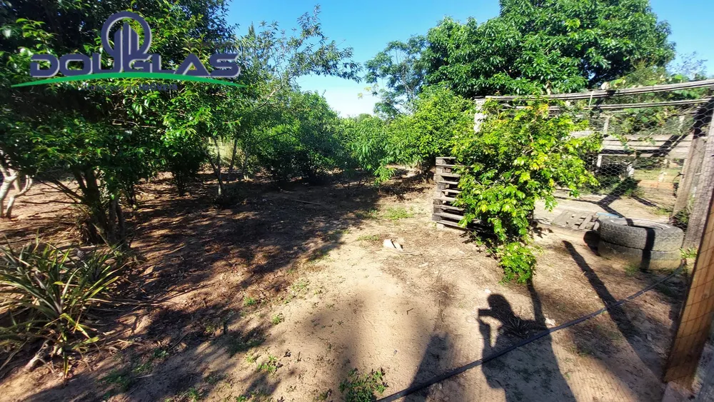 Terreno - Foto 6