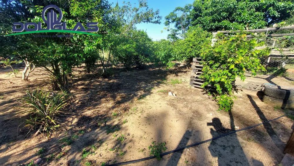 Terreno - Foto 5