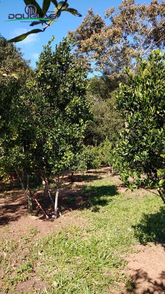 Sítio, 3 quartos, 2 hectares - Foto 12