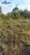 Terreno - Foto 3