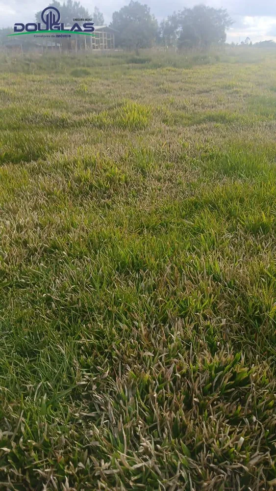 Terreno, 1400 m² - Foto 4