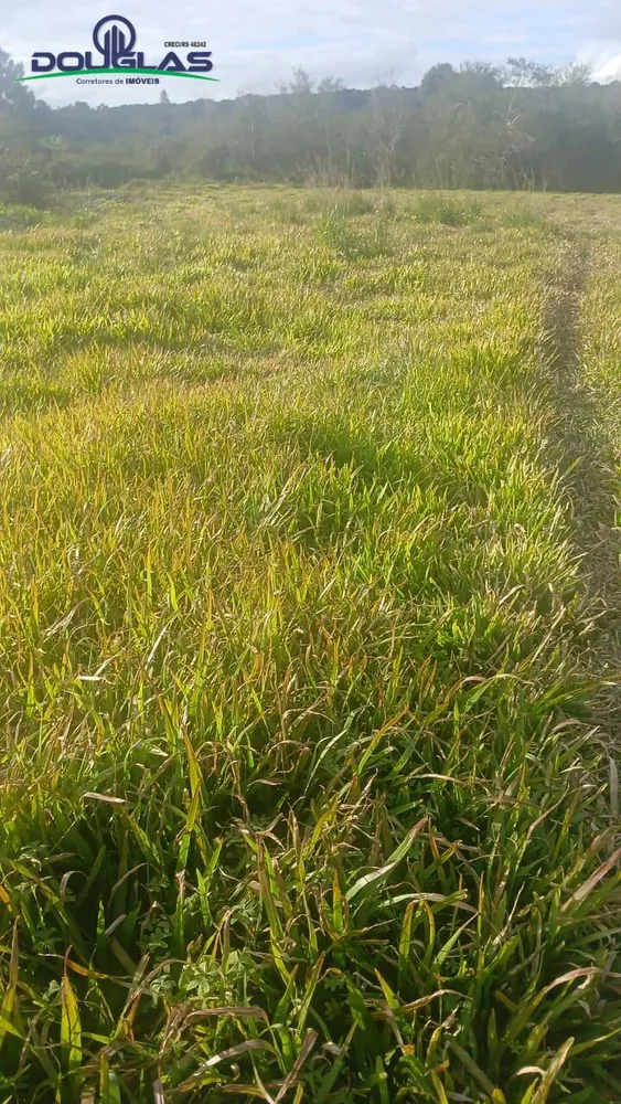 Terreno, 1400 m² - Foto 1