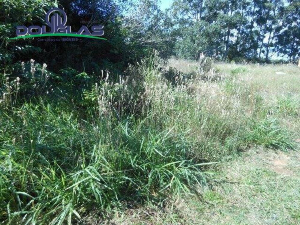 Sítio à venda com 1 quarto, 20000m² - Foto 2