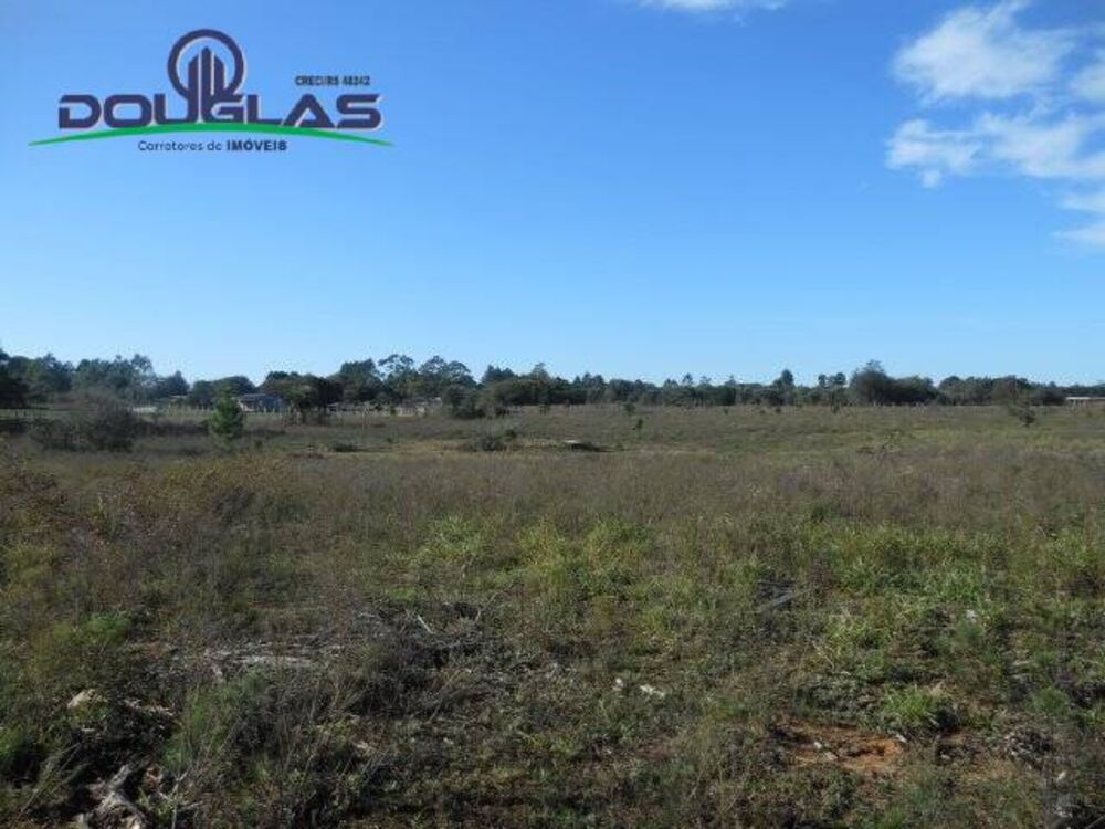 Sítio à venda com 1 quarto, 20000m² - Foto 4
