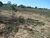 Sítio, 1 quarto, 2 hectares - Foto 1