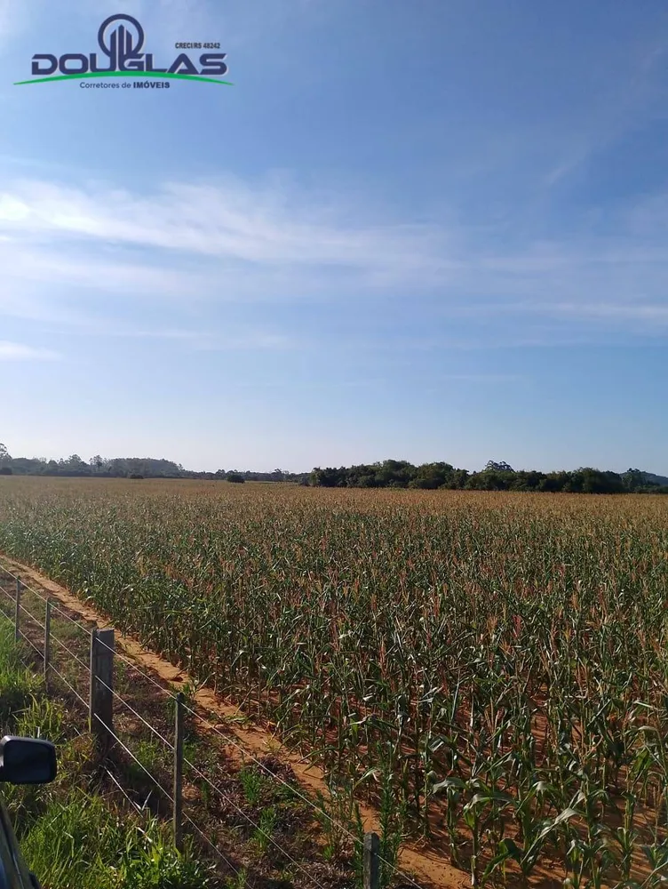 Terreno, 8 hectares - Foto 6
